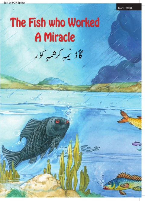 The Fish who Worked a Miracle